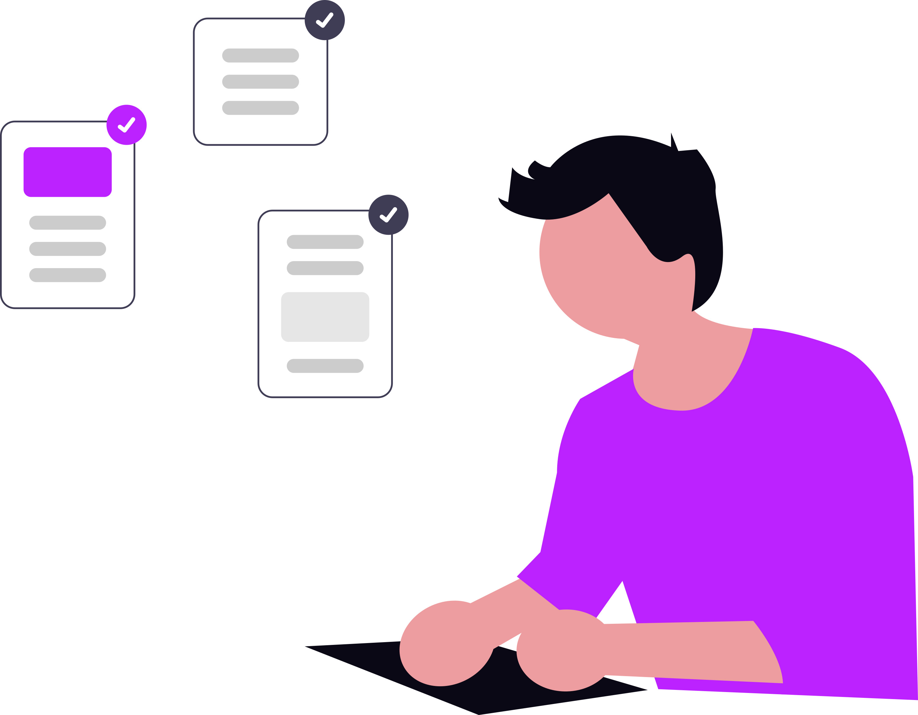 Chef de projet